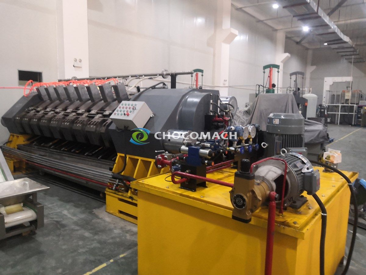 全自動核桃漿連續液壓冷榨項目